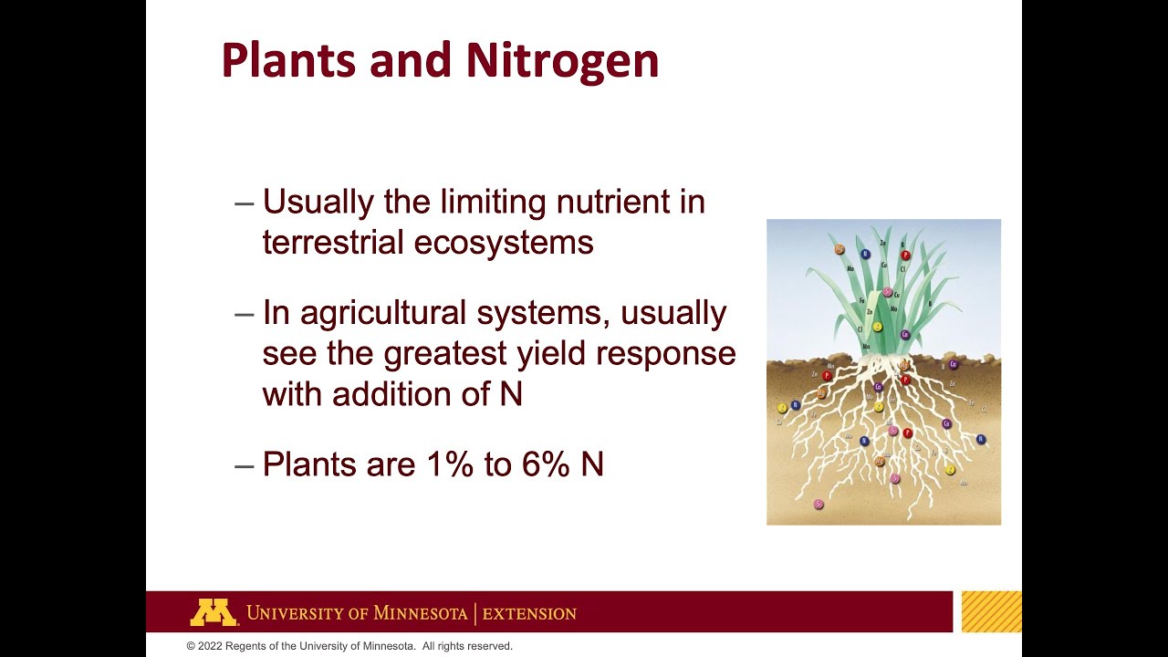 The Nitrogen Cycle - Brad Carlson, U of MN
