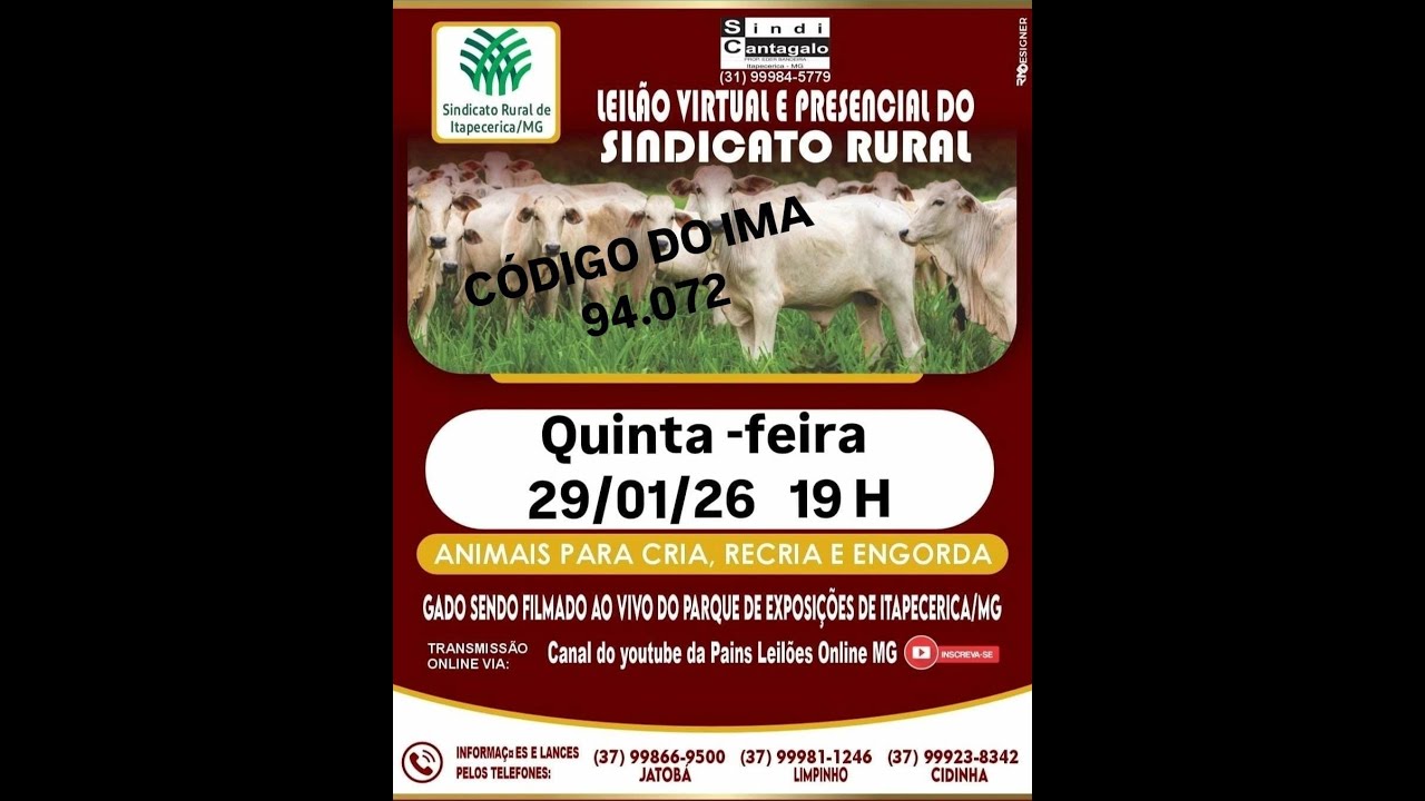 Leilão Virtual e Presencial do Sindicato Rural de Itapecerica