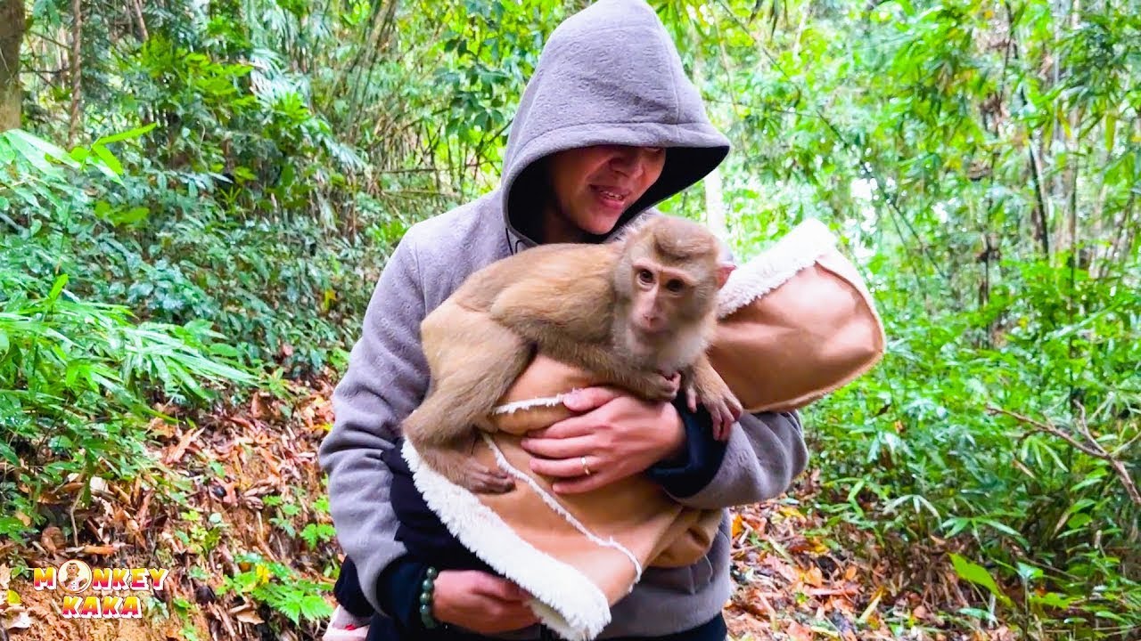 What Monkey Kaka wants most when her meets Diem again