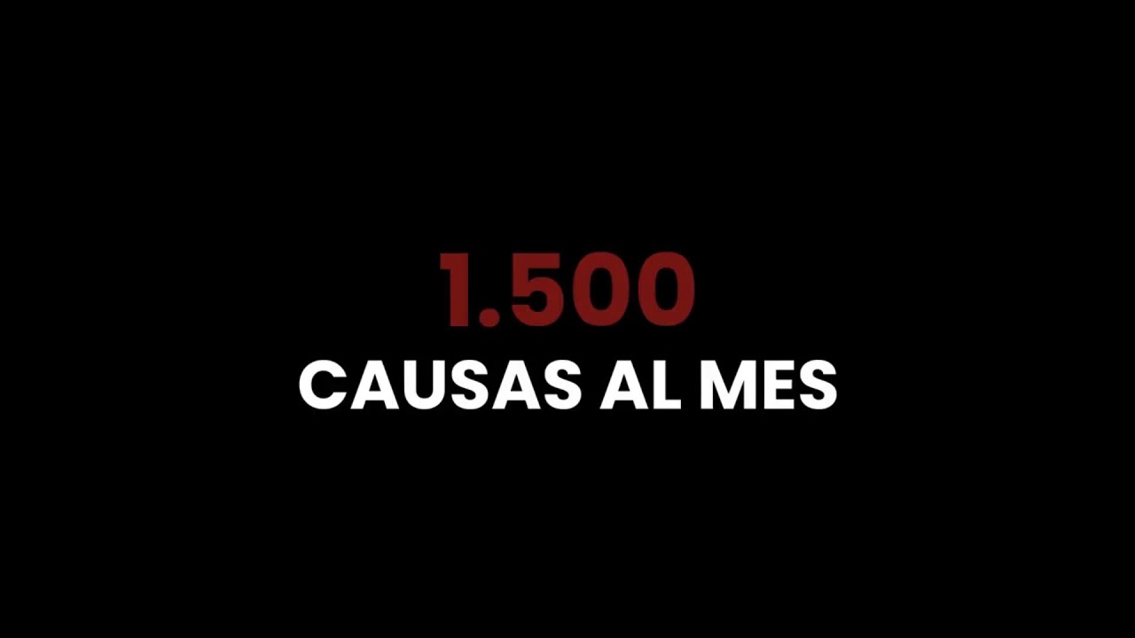CONCLUSIONES DE JORNADAS DE DESCONGESTIONAMIENTO DE CAUSAS