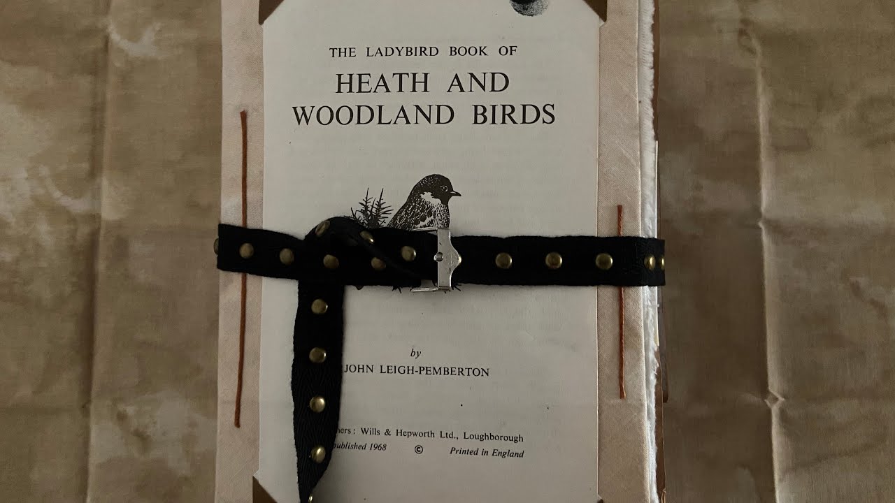A Macabre Journal | Flip Through