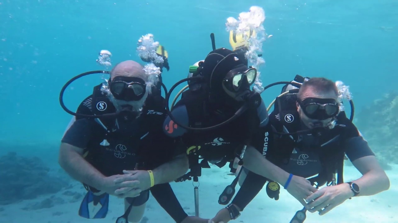 Schnuppertauchen  &Auml;gypten  Rotes Meer  Marsa Alam Januar 2020     Diving Red Sea