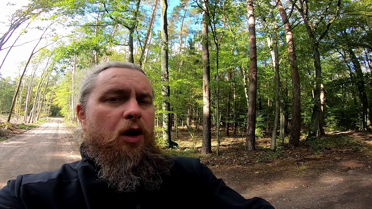 Puszcza Zielonka - Trakt Bednarski