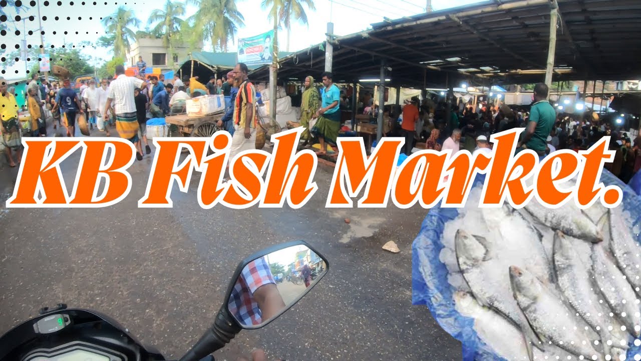 KB Fish Market.Bagerhat ||  কেবি মাছ বাজার, বাগেরহাট।