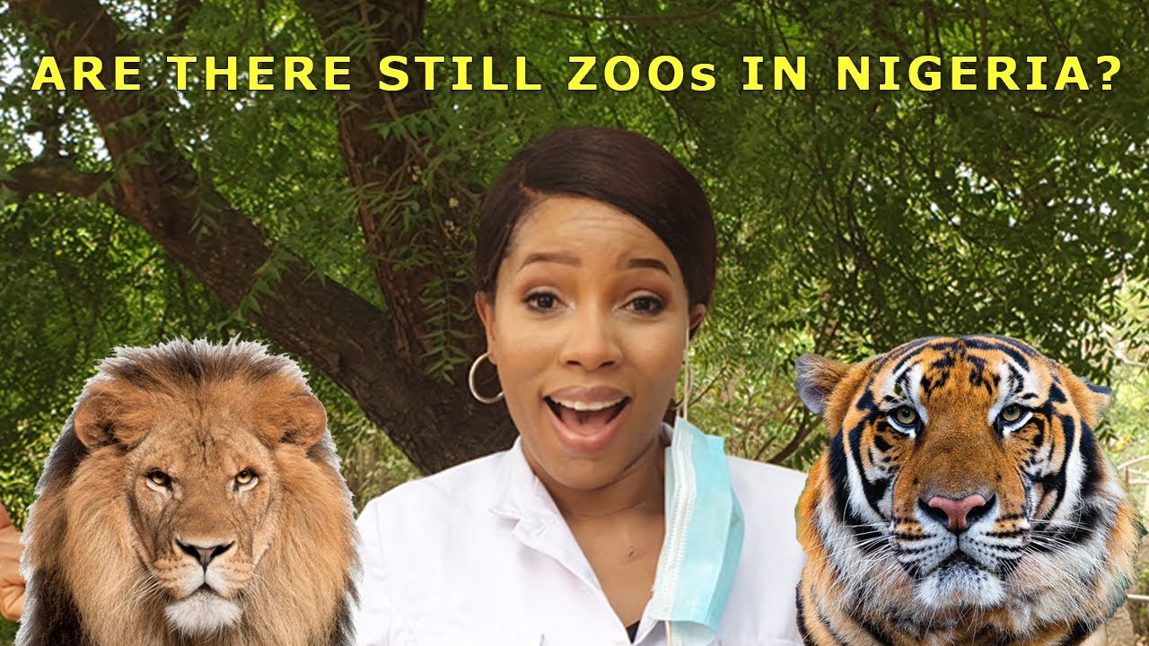 WHAT A ZOO IN NIGERIA LOOKS LIKE | THE OBASANJO LIBRARY ZOO | TOLU NAZZAL