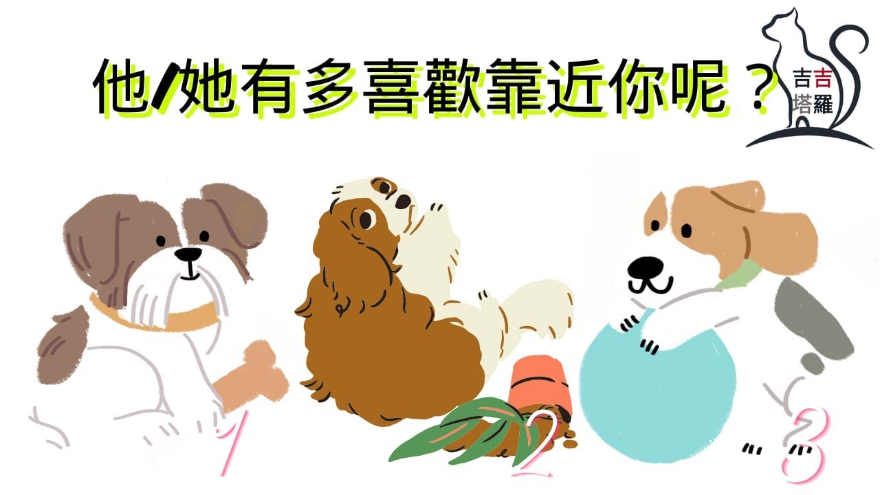 ❤️塔羅占卜 | 他/她有多喜歡靠近你呢? | 選個當下最想多看幾眼的可愛狗圖 (Timeless) 【#吉吉433】