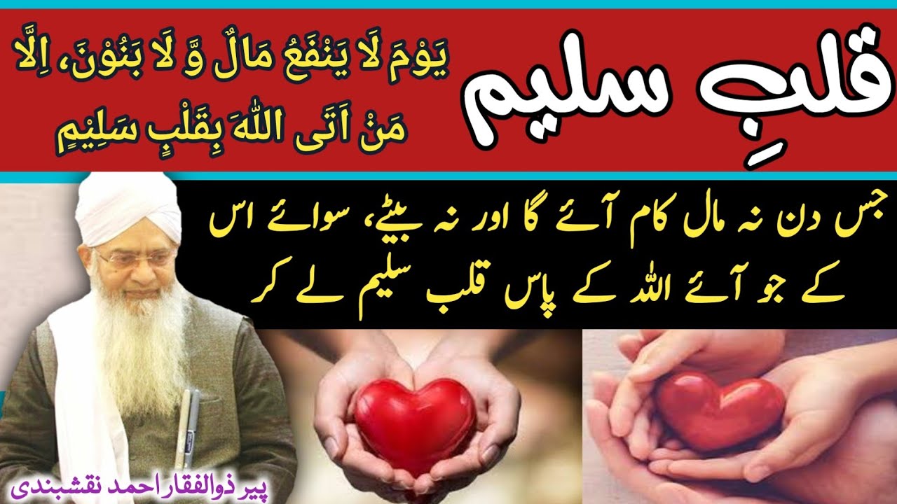 Qalb e Saleem ● قلب سلیم ● Peer Zulfiqar Ahmad Naqshbandi