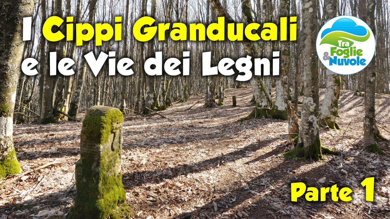 I Cippi Granducali e le Vie dei Legni, parte 1