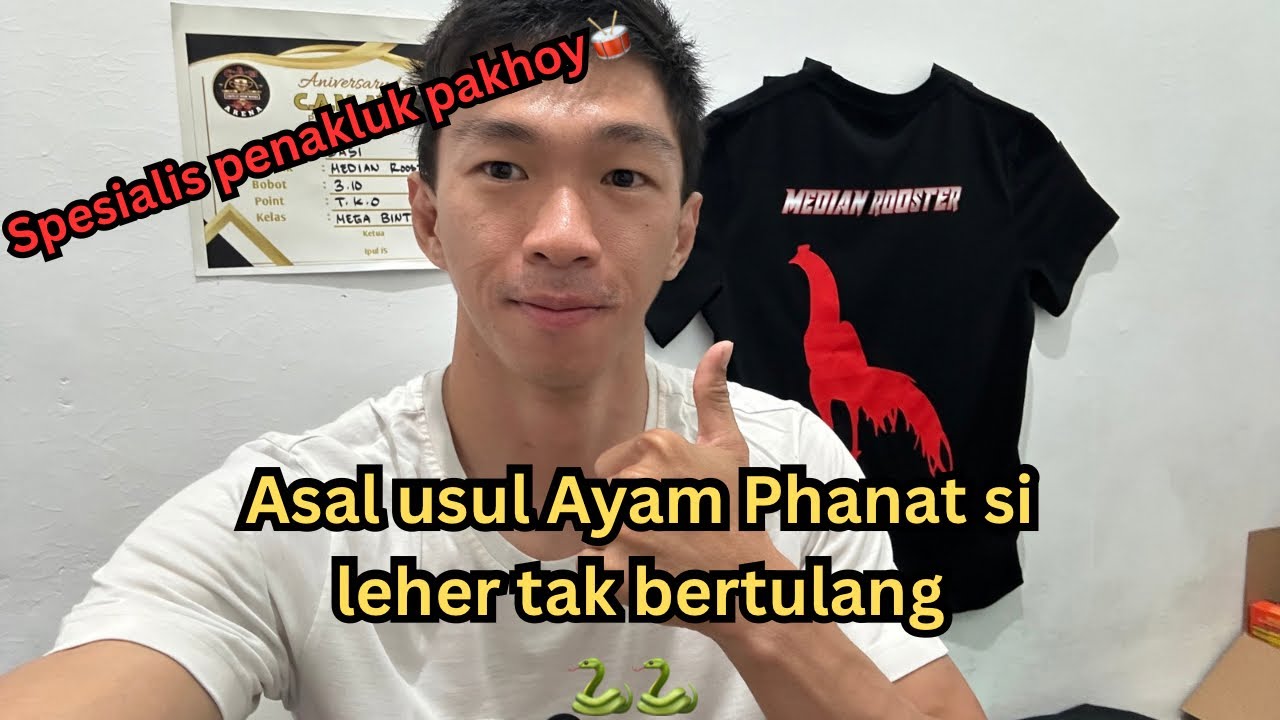 Ayam phanat ayam favorit saya saat ini ❤️