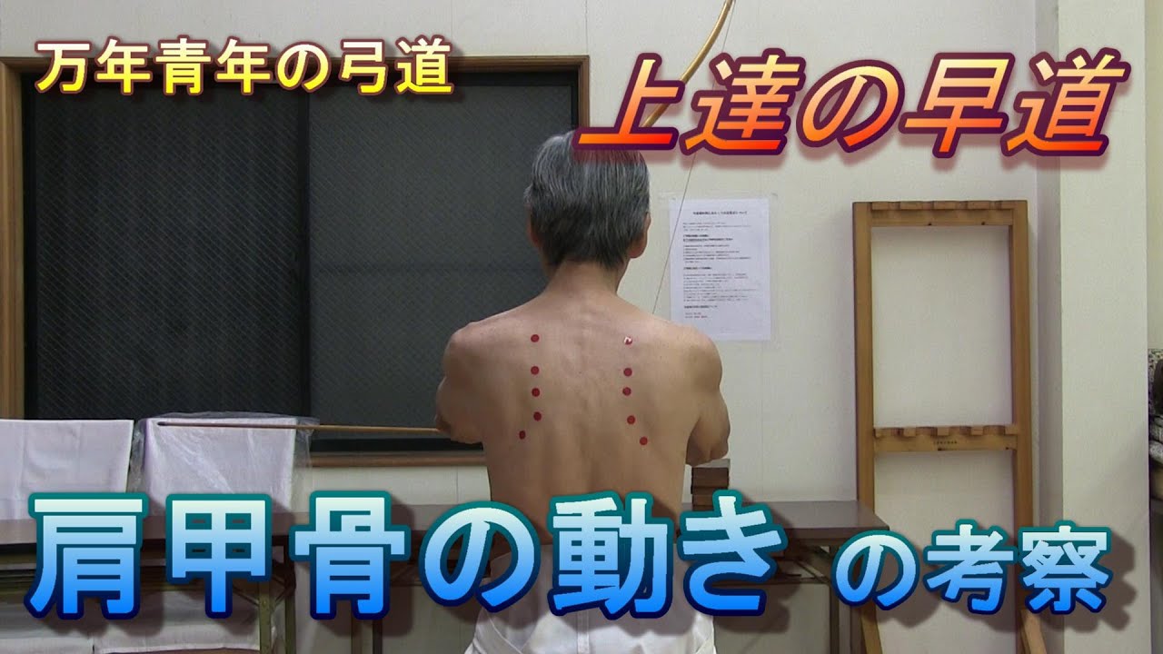 万年青年の弓道　肩甲骨の動きの考察