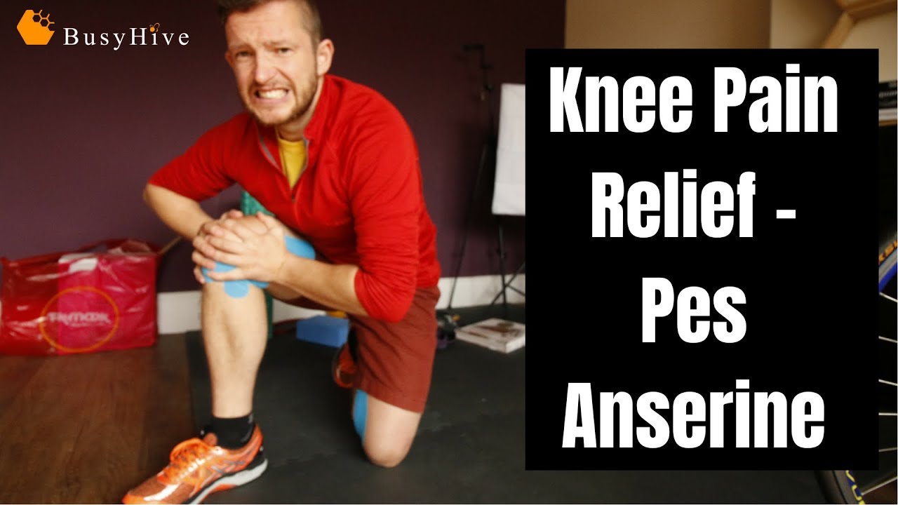 Knee Pain - 4 steps how to treatment Pes Anserine!