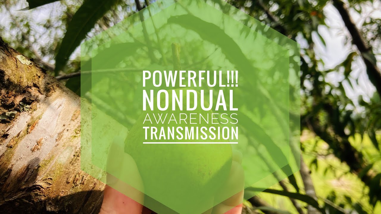 Powerful!!! Nondual Awareness Transmission - Listen Now!!!