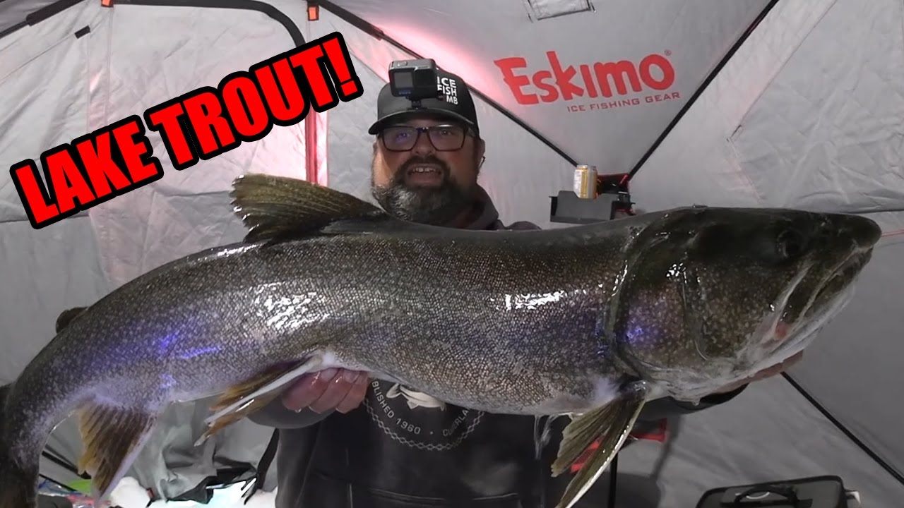 YABBA DABBA! Big Lake Trout | Ice Fishing