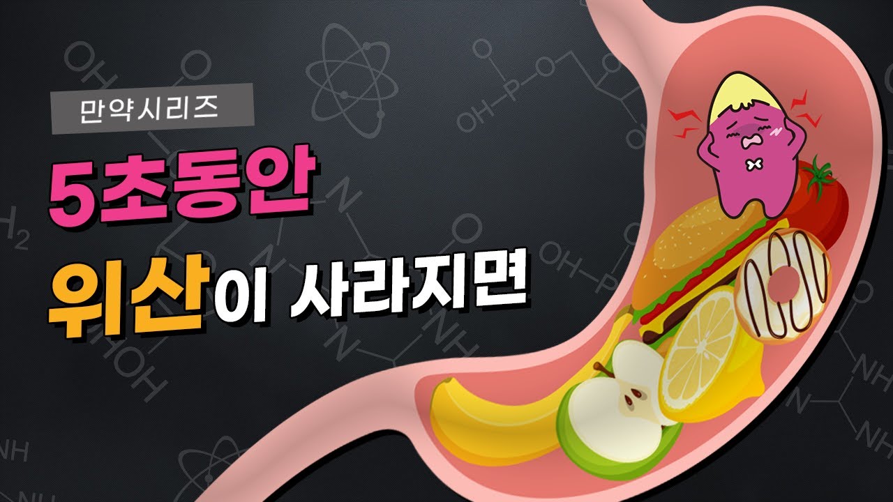 🍠 만약 5초 동안 위산이 사라진다면 무슨 일이 일어날까? (feat. 끝)