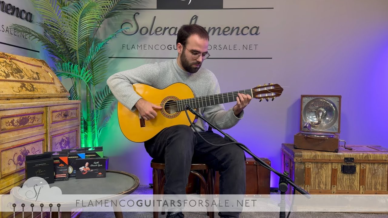 Lester Devoe 2010 flamenco Guitar for sale played by Toni Abell&aacute;n