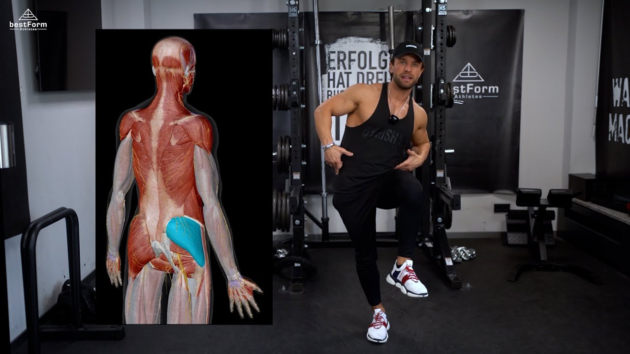 🔺Gluteus Medius - ist dieser Muskel zu schwach, sind Rückenschmerzen vorprogrammiert!🔺