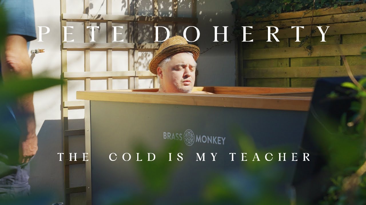 Pete Doherty | The Cold Is My Teacher