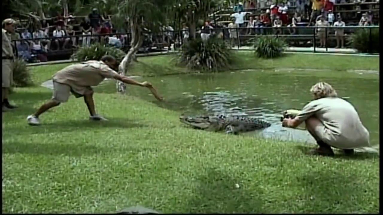 Australia Zoo VIP tour...