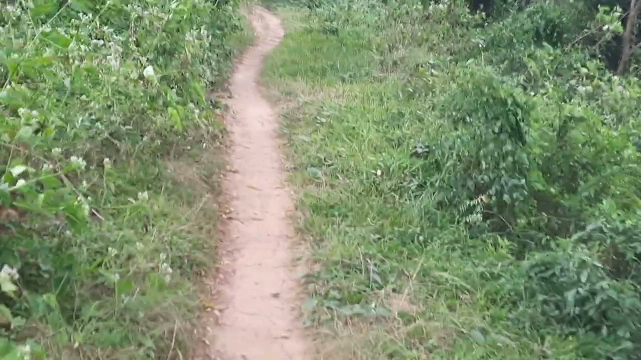 Lassanai  kiyala  hituna ⚘️⚘️🌷🌷💜