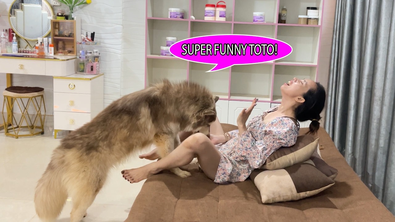 Ah Ha!!Kwan SUPER PRANK TOTO,Kwan eating favorite food in front TOTO,Finally what's happen?