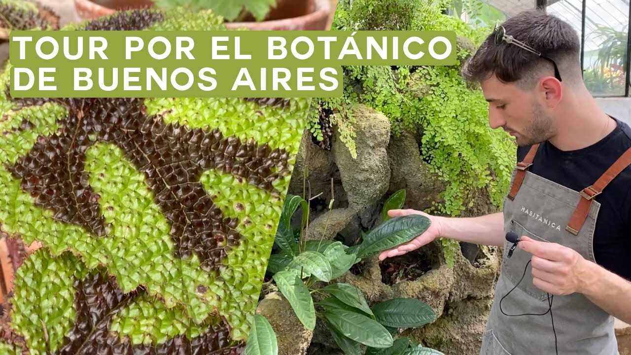 🌸Tour por el Jardín Botánico de Buenos Aires 