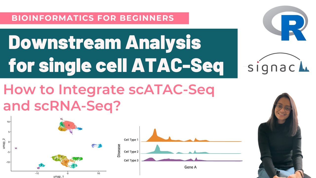 Полное руководство по нисходящему анализу для ATAC-Seq отдельных клеток в R | Рабочий процесс scA...
