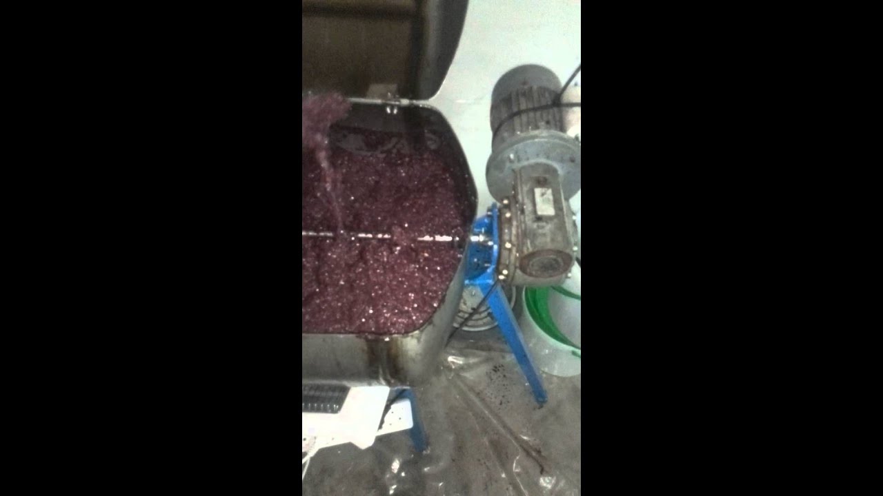 Mini almazara casera