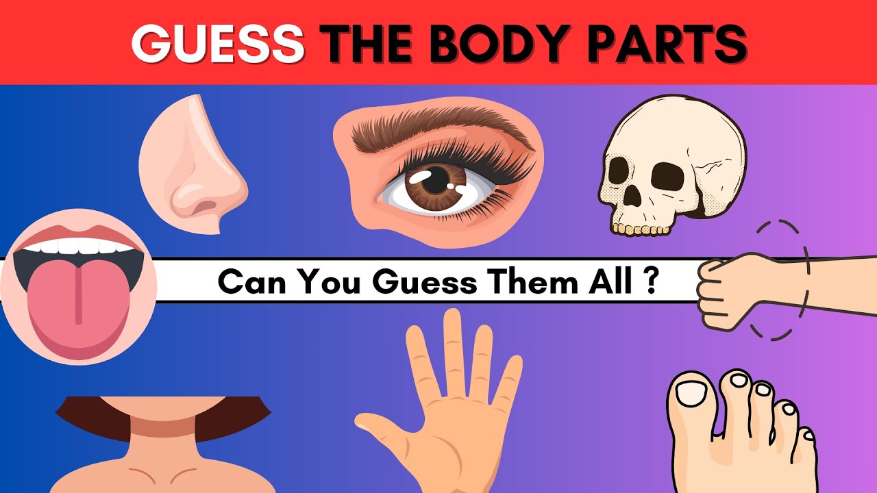 Guess the Body Parts | English Quiz | Body Parts Vocabulary