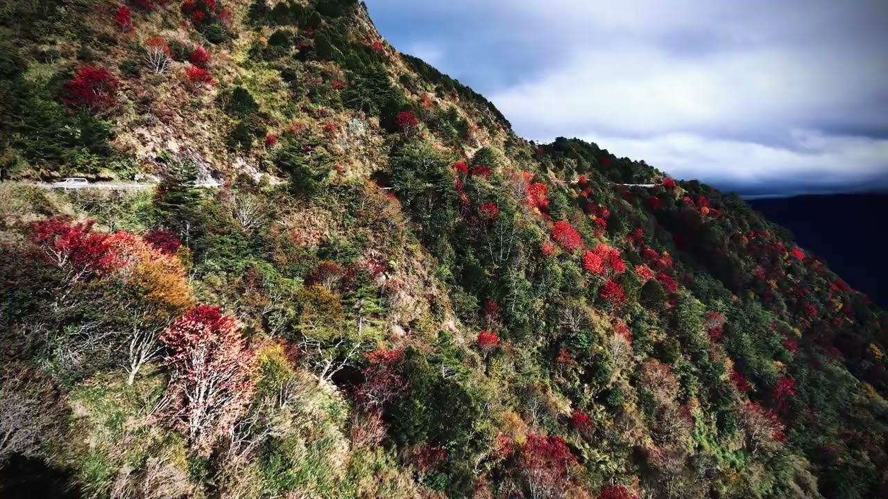2025年12月18日