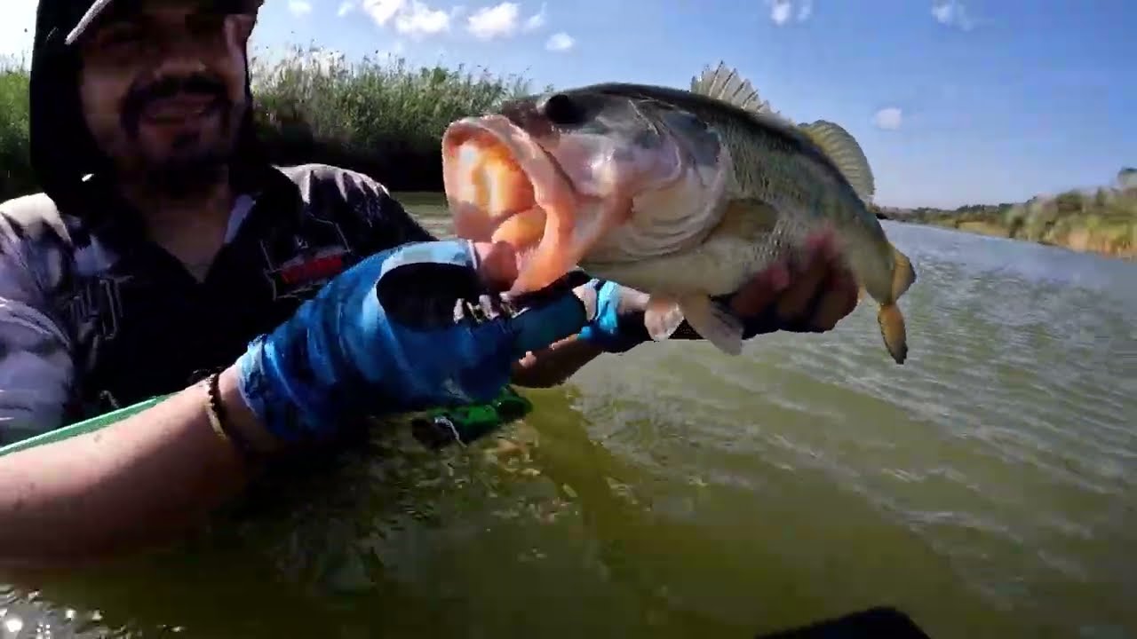 Lo que era Pesca de Bagres, se convirtió en Pesca de LOBINAS en el Rio Bravo.