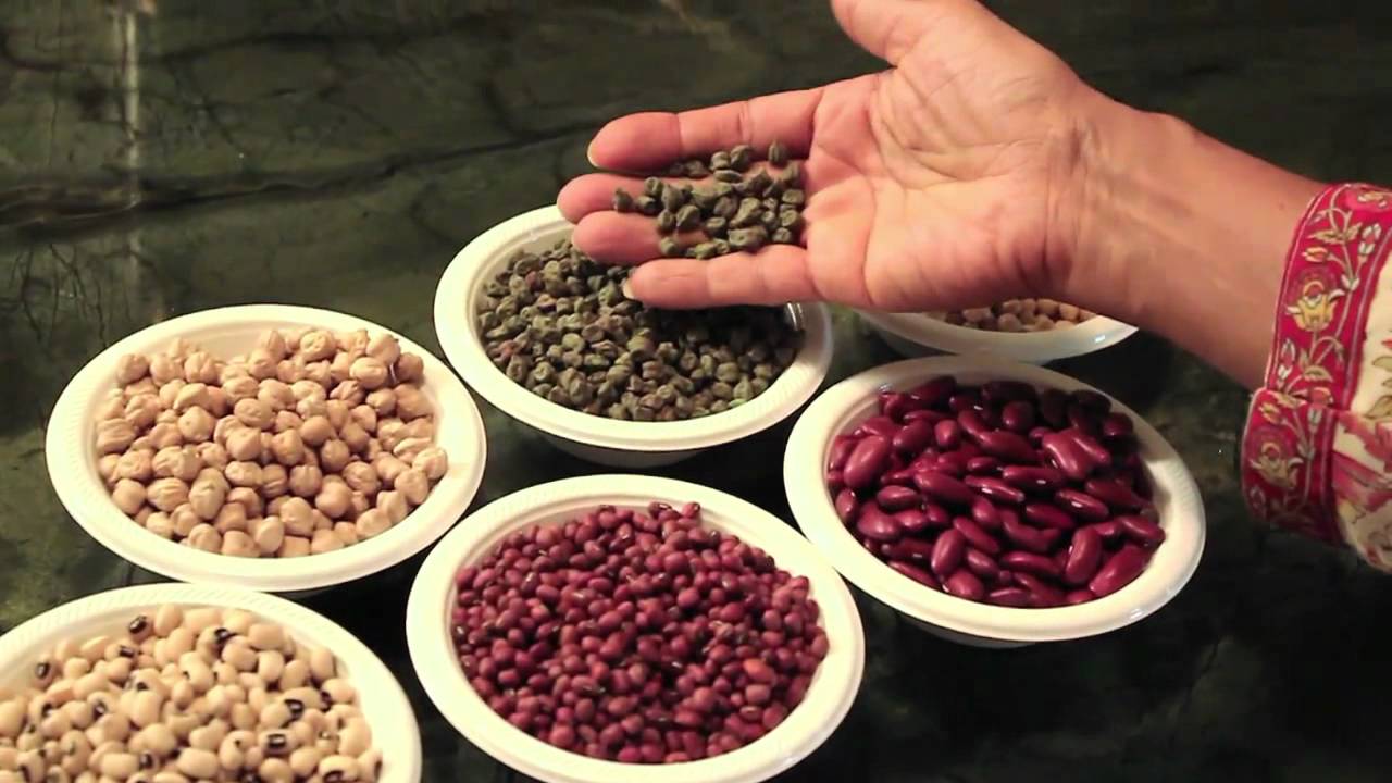 All about Daals and Beans