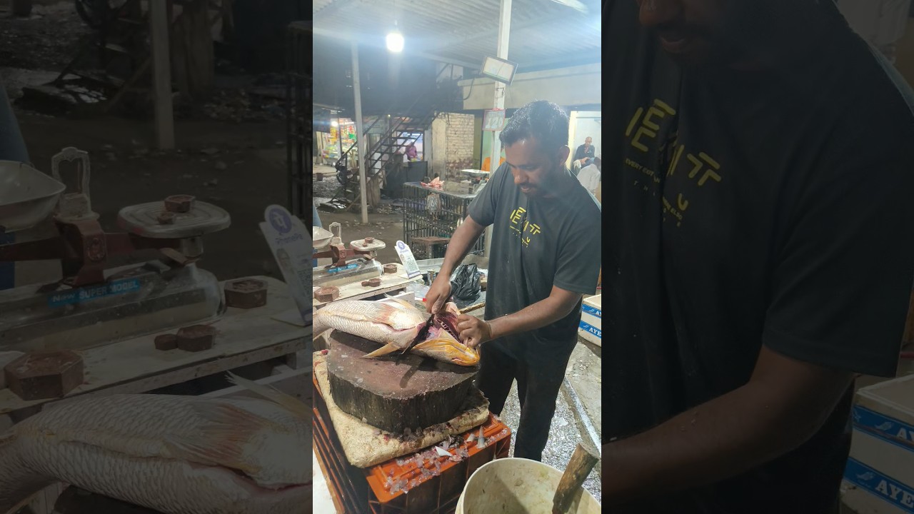 ghol fish घोळ मासा #fish #fishcutting #cutingskil #streetfood #trendingshorts
