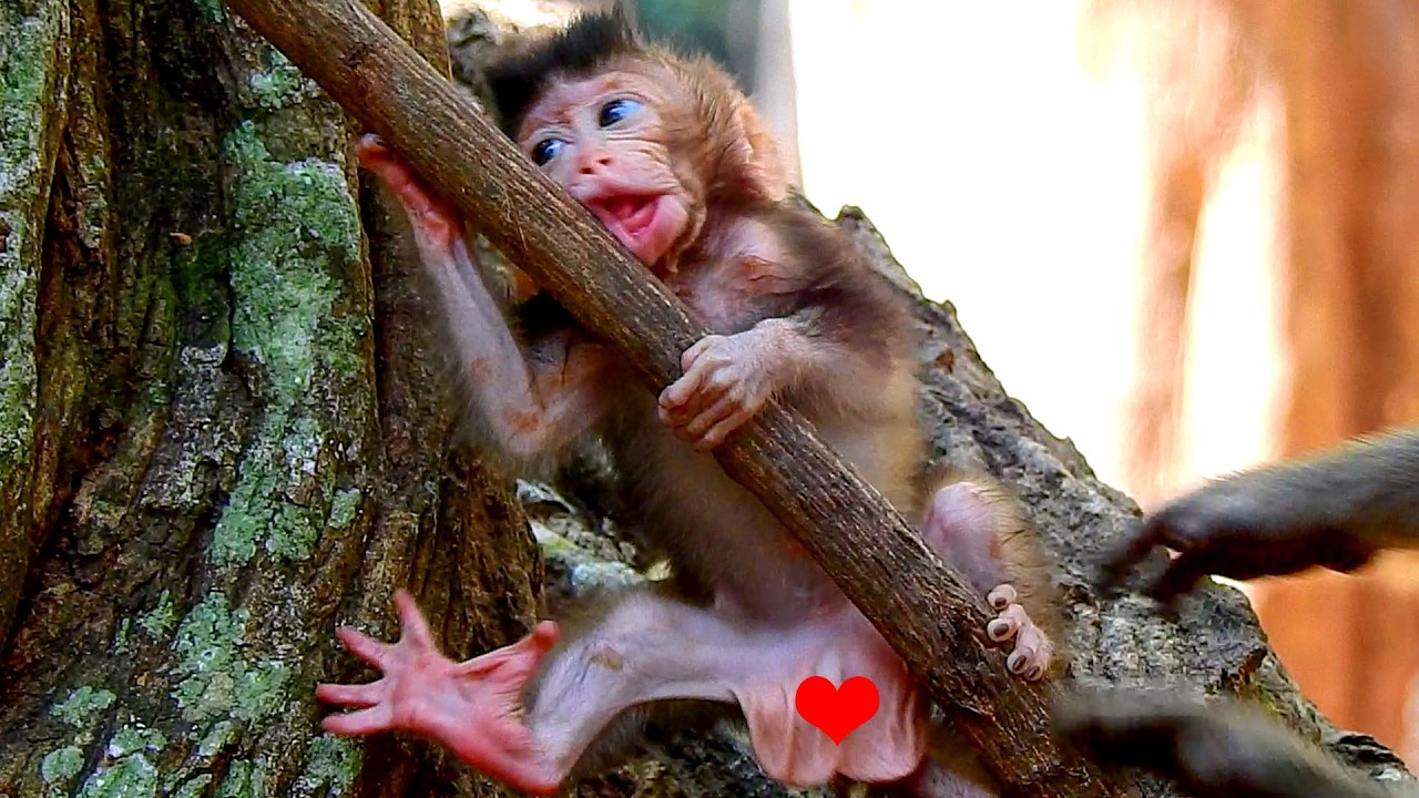 Incredible moment..Tiny AVERY doesn`t make his strong falling after mommy to motivate train cling.