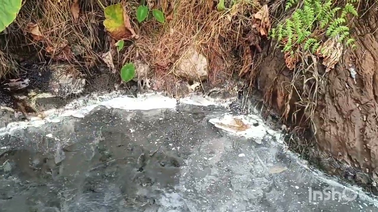 Nibum Seak (Hotspring) Gyapin Village 
