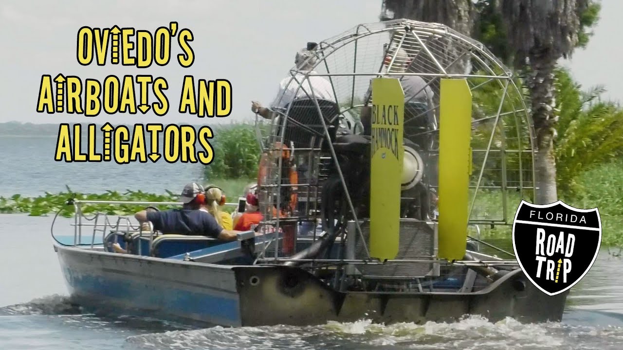 Take an Airboat Ride at Black Hammock in Oviedo | Florida Road Trip #florida #history #alligator
