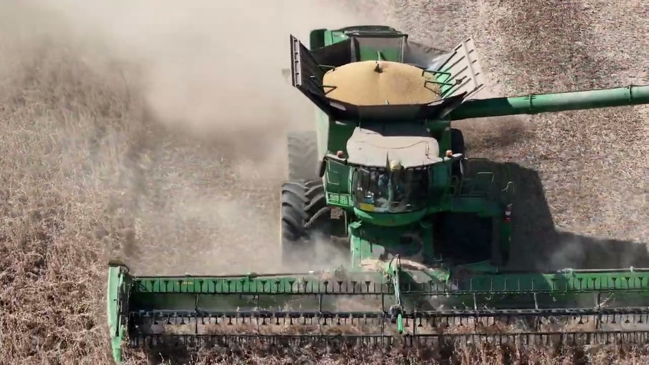 Harvesting (Combining) Soy beans and seeding cover crop. (ASMR)