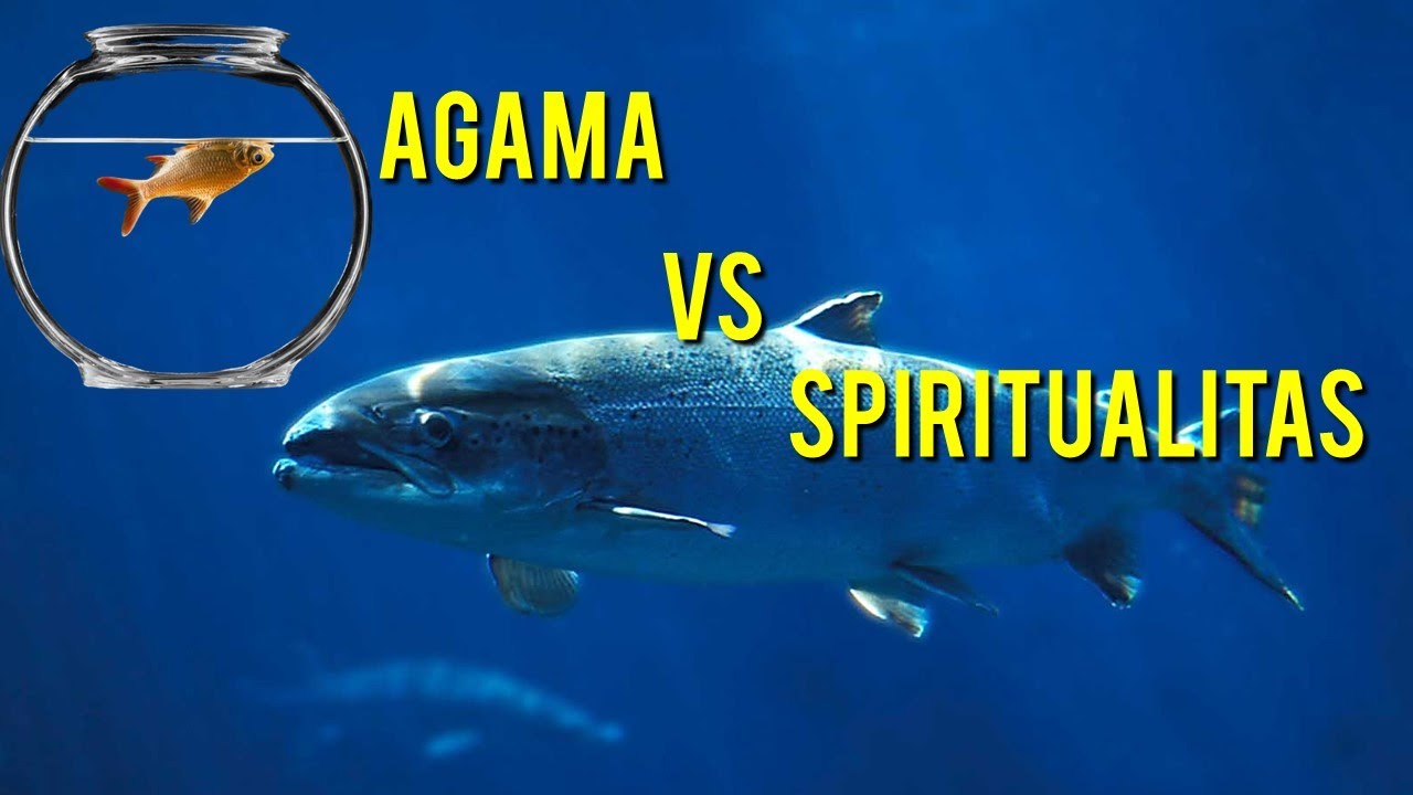 Perbedaan Agama dg Spiritualitas