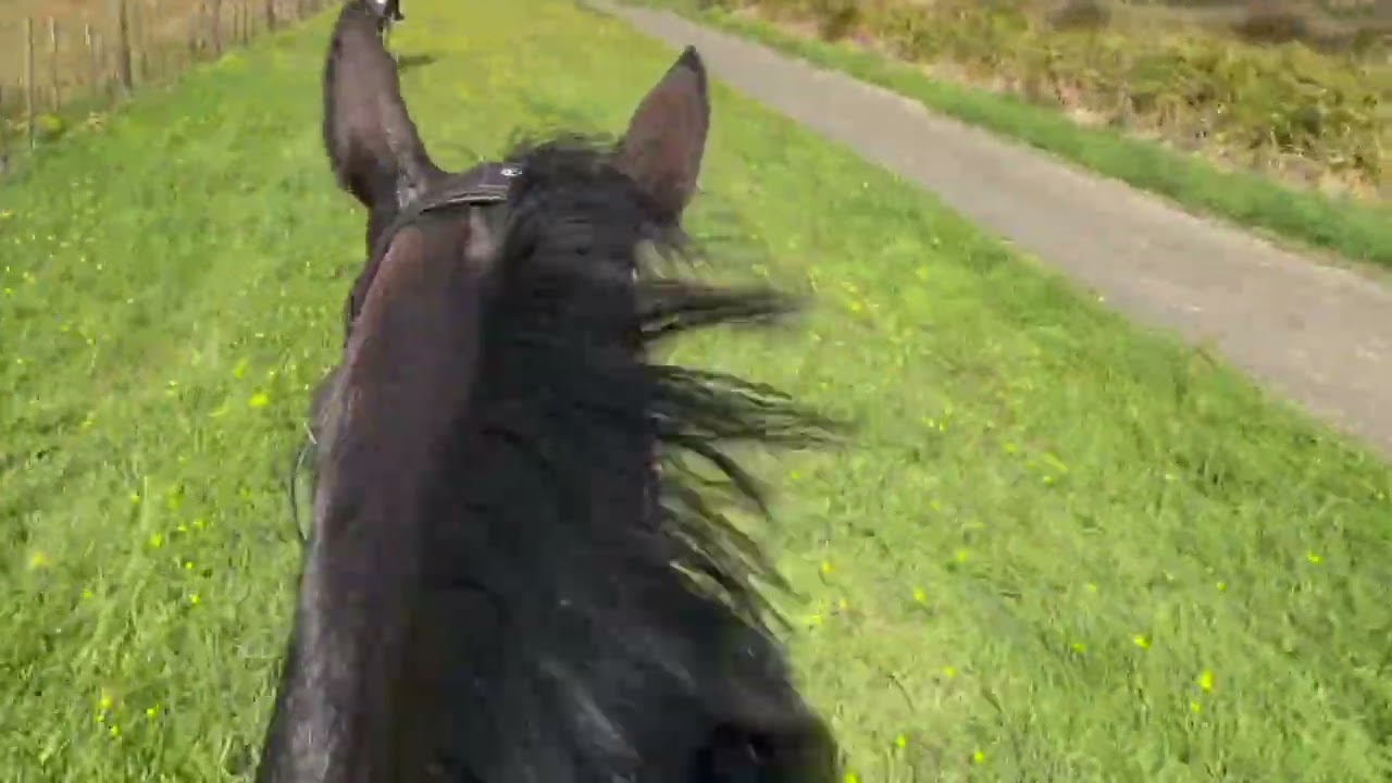 Pi and Evie hacking at Whitford
