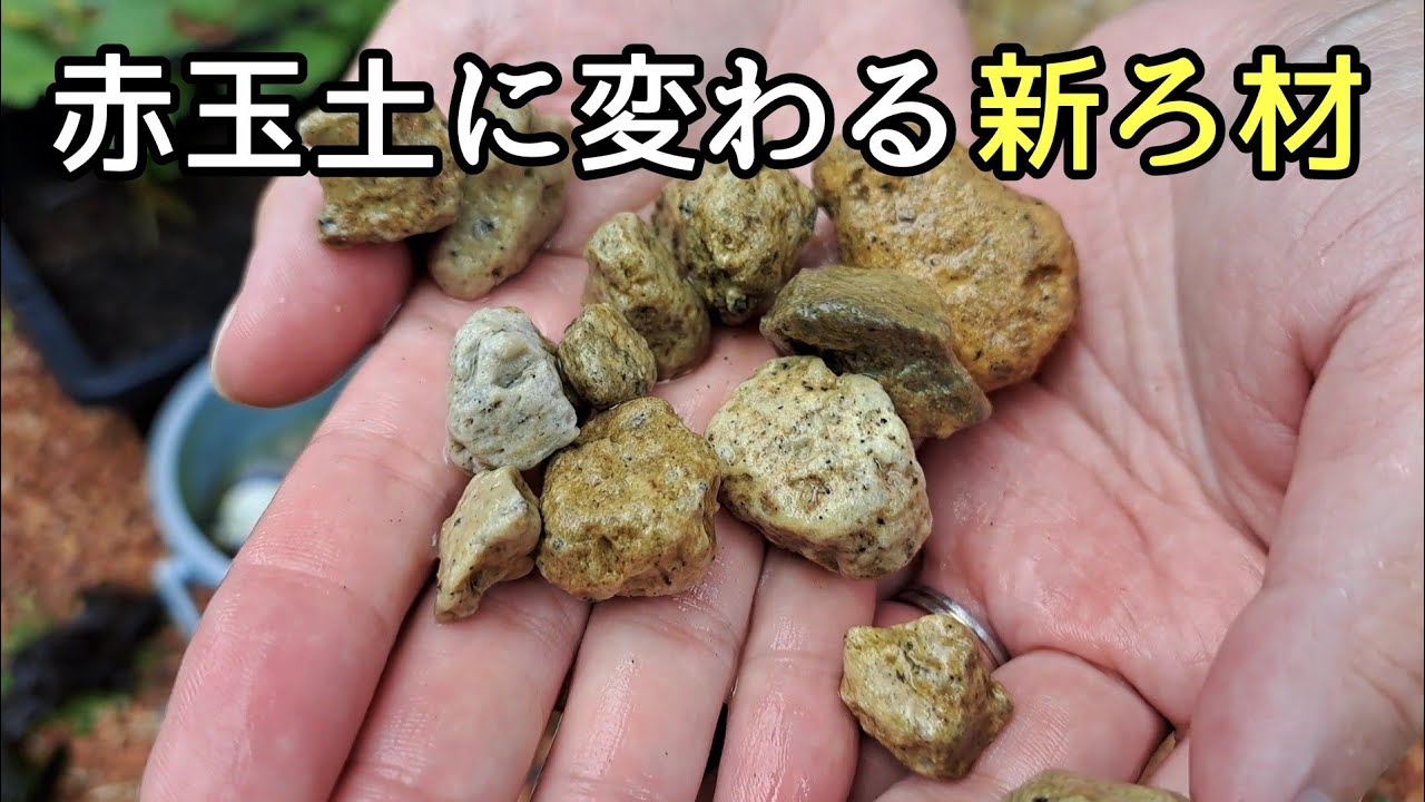 赤玉土以上のコスパ！オススメなめだか飼育の新ろ材【メダカ】