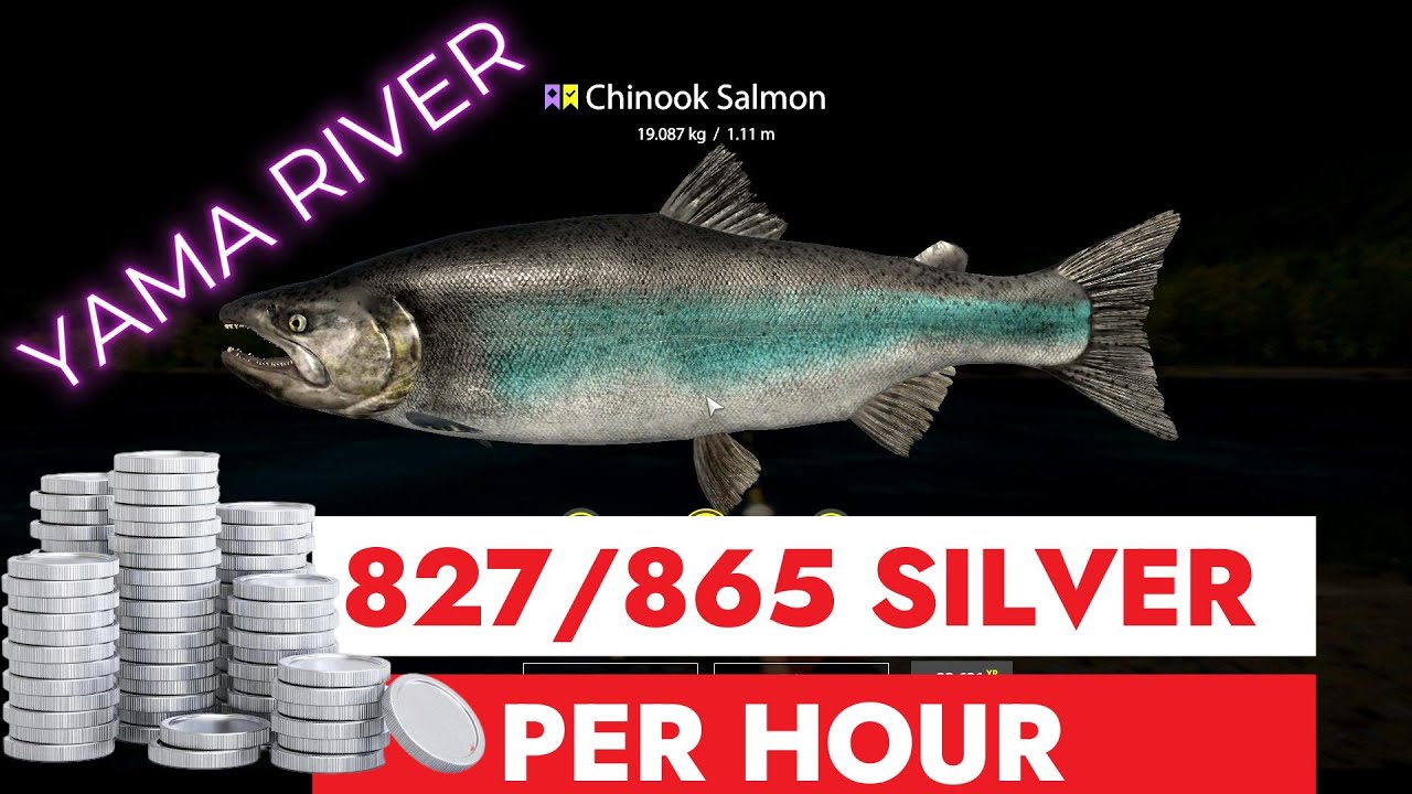 RUSSIAN FISHING 4 - YAMA RIVER - 865 SILVER IN 1 HOUR