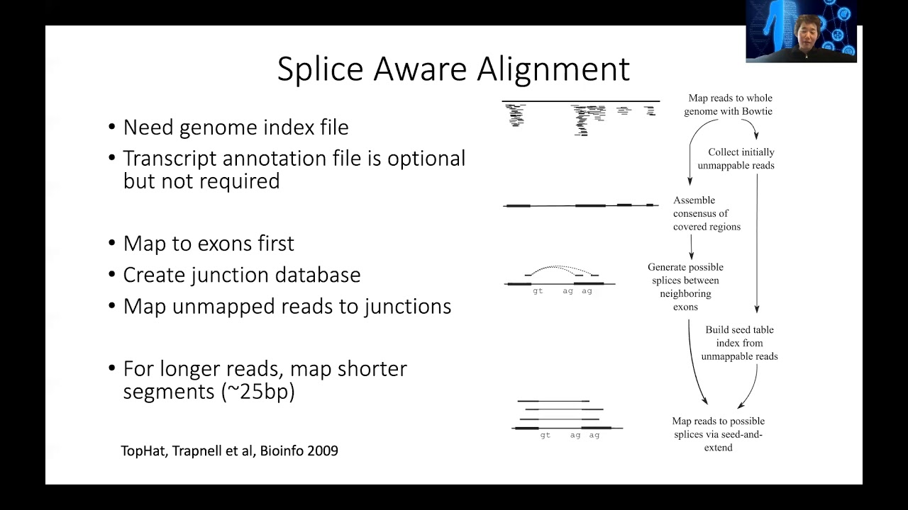 STAT115 Chapter 4.3 RNA-seq Alignment