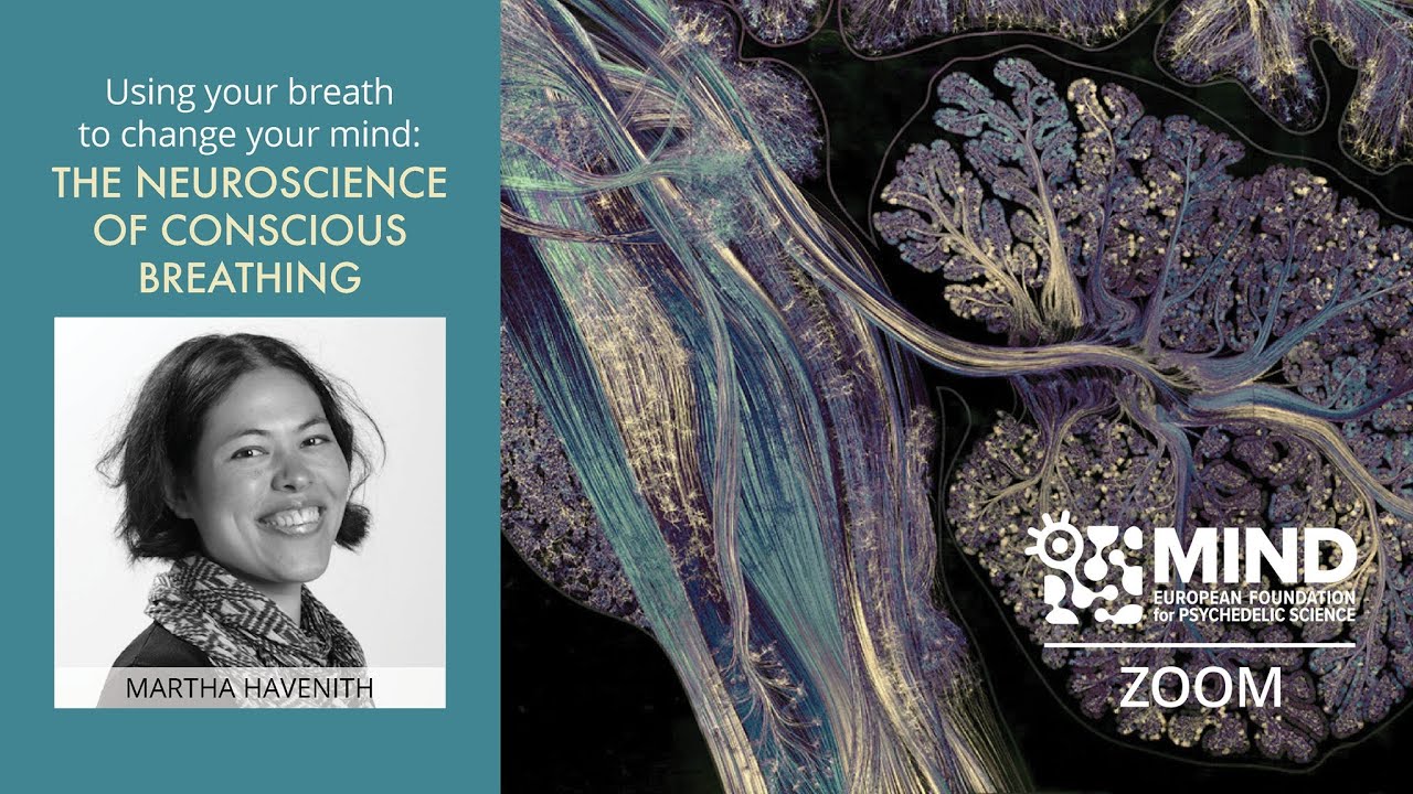 The Neuroscience of Conscious Breathing | Dr. Martha Havenith