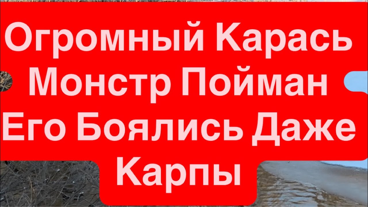 Огромный КАРАСЬ РЕЧНОЙ МОНСТР ПОЙМАН🔥Крутая Рыбалка в Центре Города🔥Секретное Место🔥Клуб Рыбаков🔥