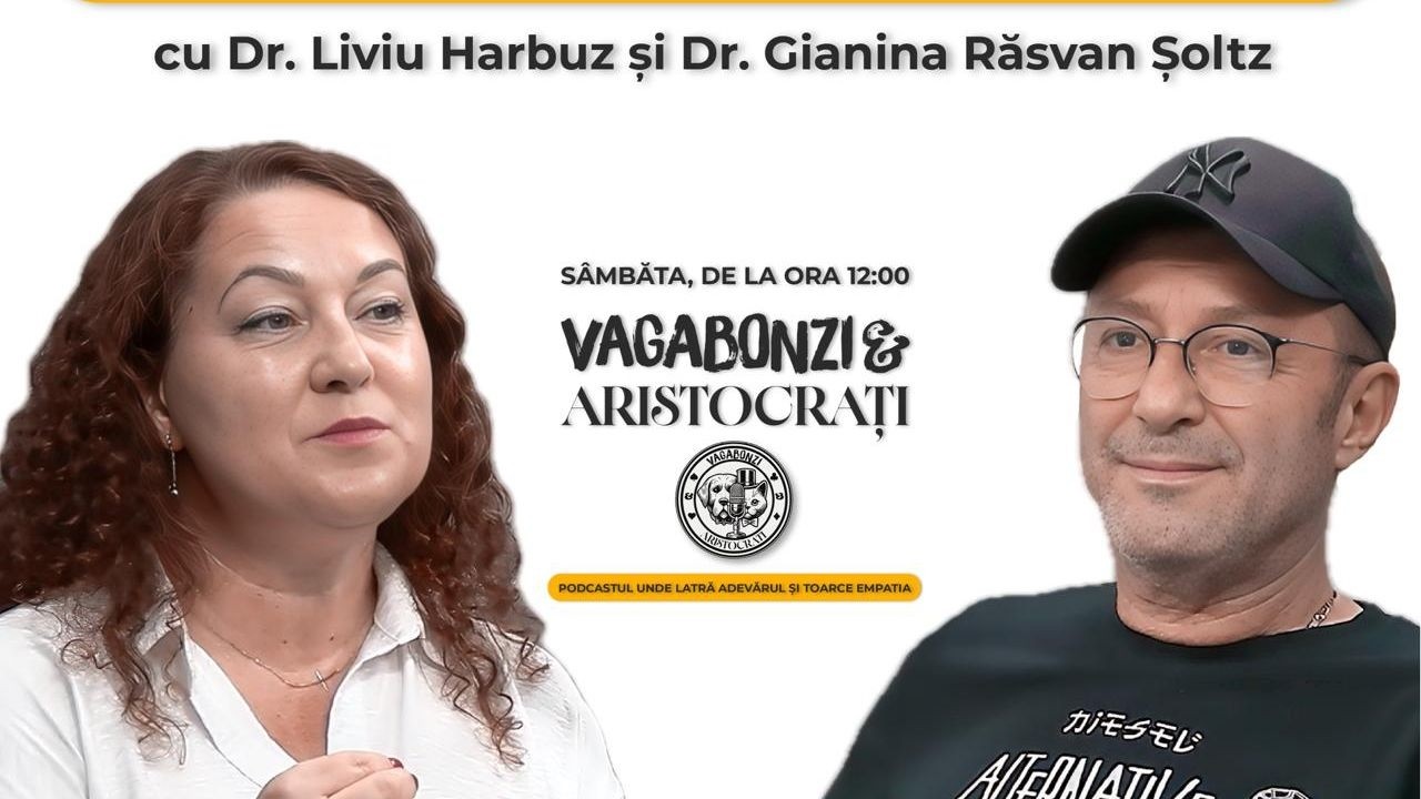 Bine ați venit pe canalul oficial HAI România! (Hub.Actual.Info România! )