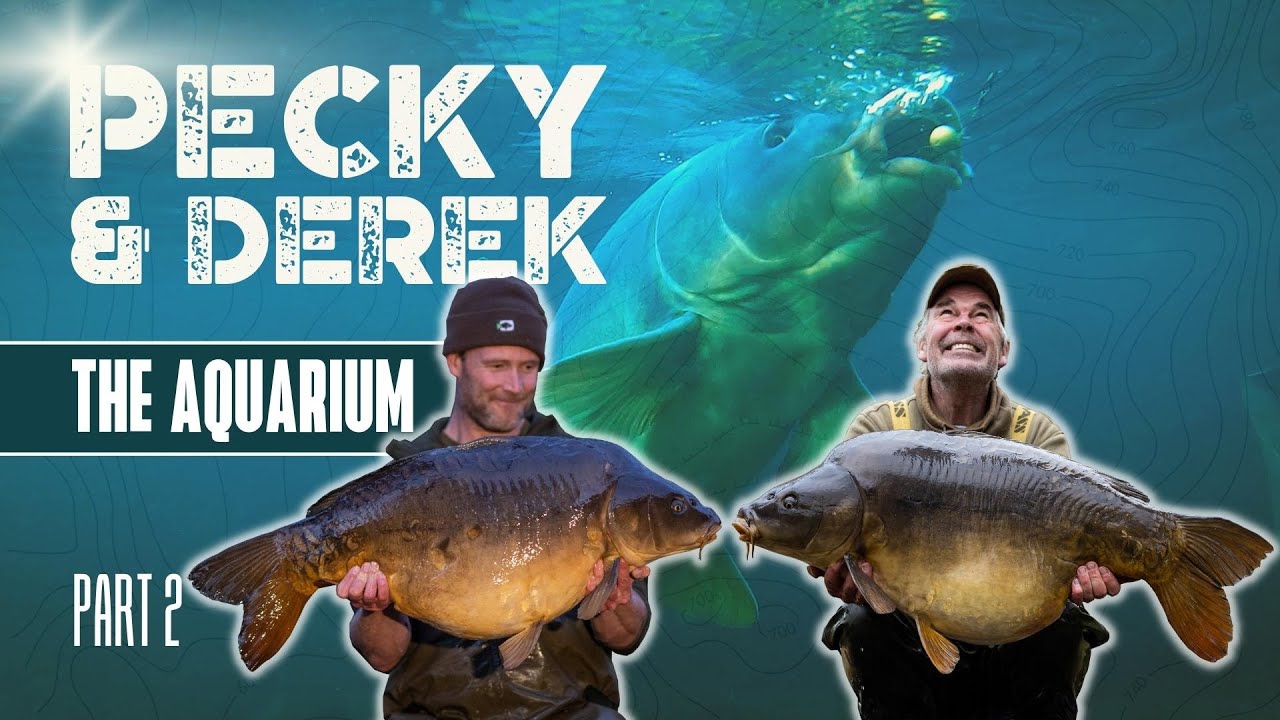 Autumn Fishing for Big Carp in France | Darrell Peck & Derek Harrison | Extract Part 2 of 2