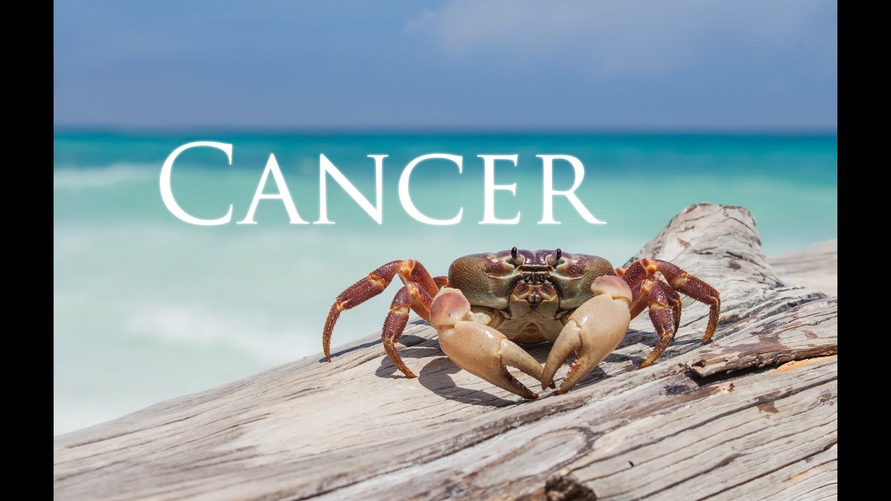 All about Cancer with Michele Knight