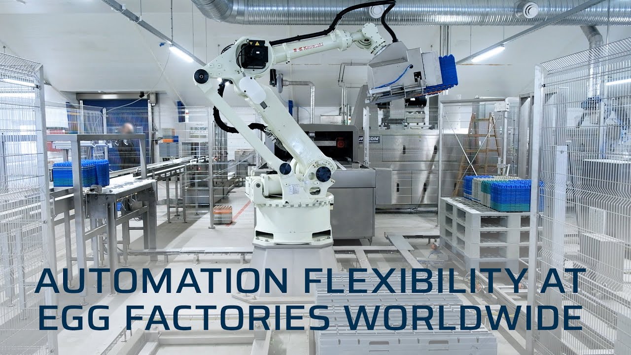 Kawasaki Robotics Contributes to Automation Flexibility at Egg Factories Worldwide