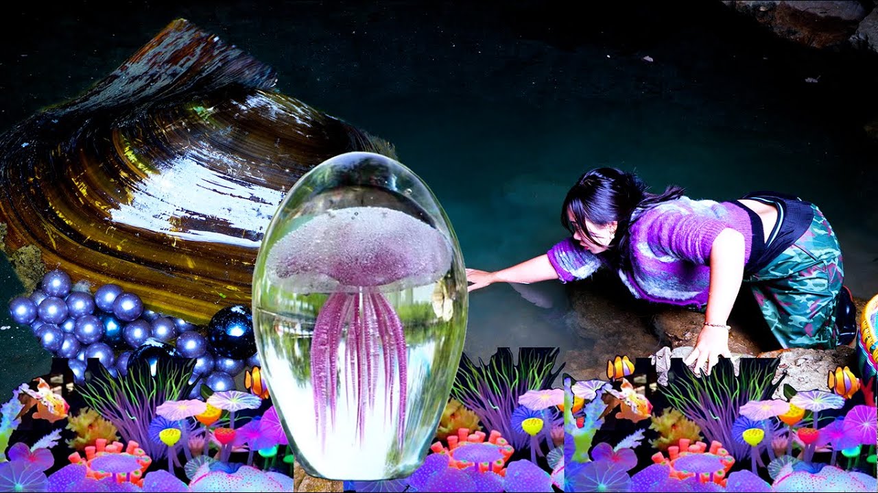 🎁🎁Giant clams growing in deep pools, unexpected pearl harvest for girls, beautiful and charming