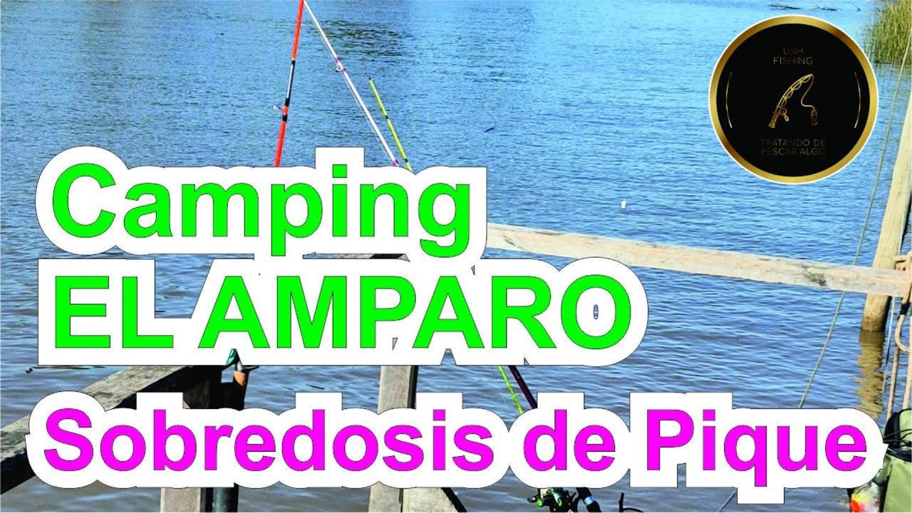 SOBREDOSIS DE PIQUE!! - CAMPING EL AMPARO - ESCOBAR