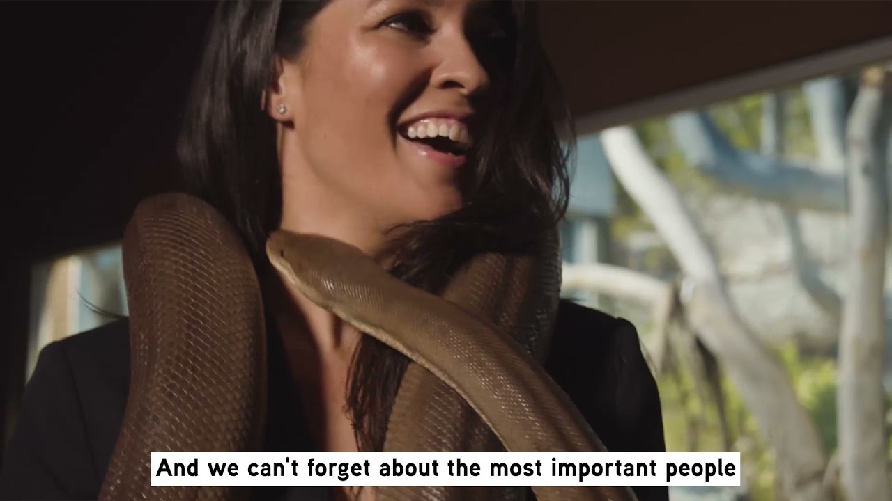Partnering with Exigo Tech to launch Sydney Zoo